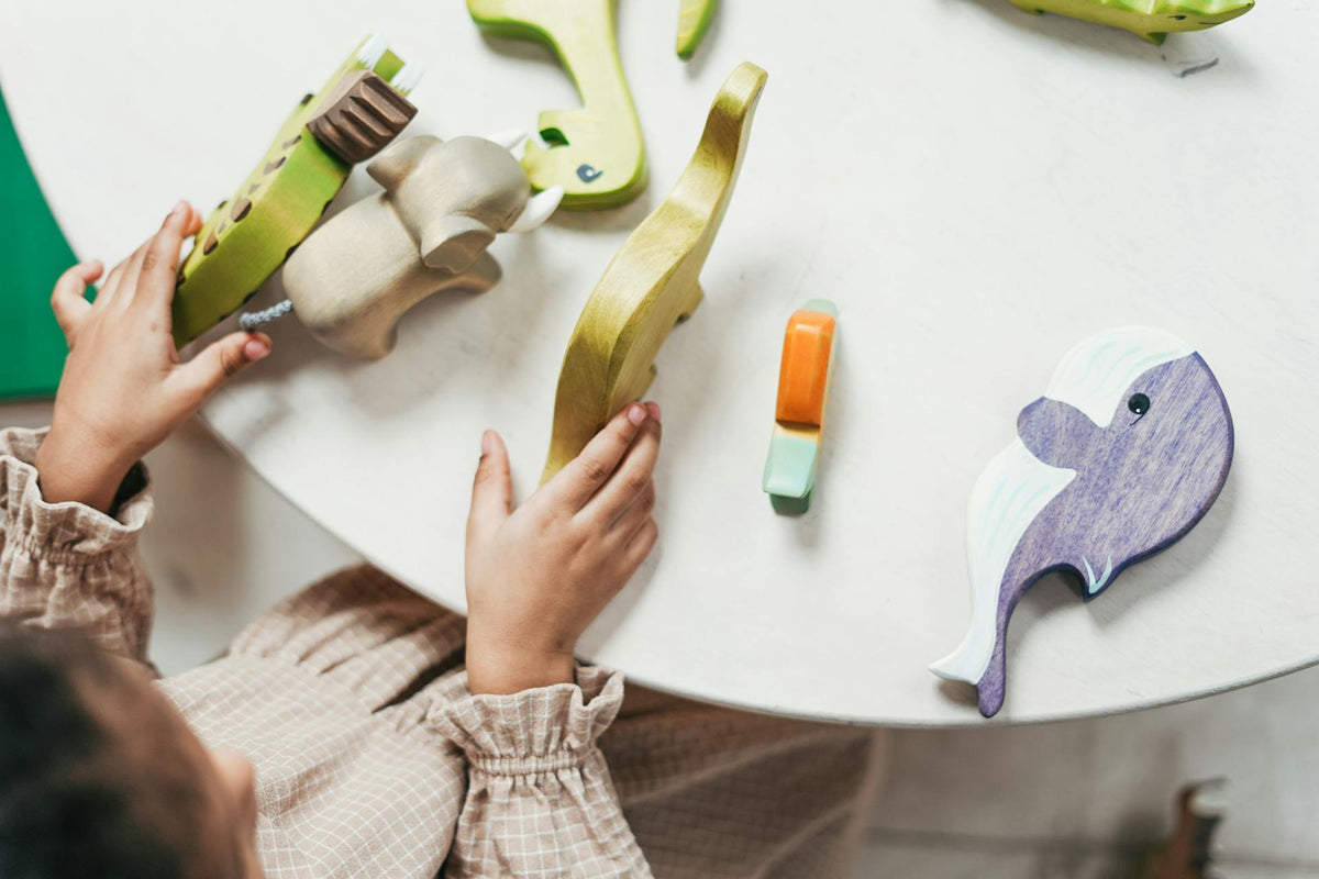 Montessori Toys