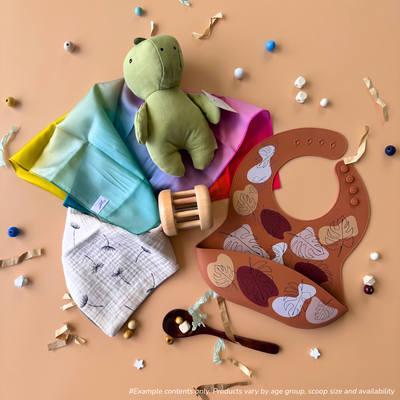 6-12 Month baby sensory gift box flat-lay including a linen animal toy from Living Textiles, a rainbow mini play silk from Play Silkies, a dribble bib from Spillykins, a rolling rattle from Totli, and a silicone food bib from Spillykins.