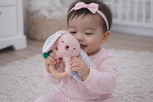 Snuggle Buddy Berry Bunny – Pack of 4