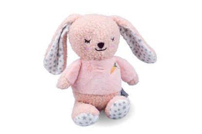 Snuggle Buddy Berry Bunny – Pack of 4