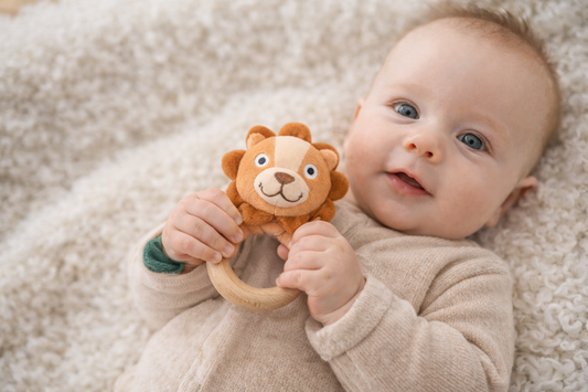 Snuggle Buddy Hugsworth Lion Pack – Pack of 4