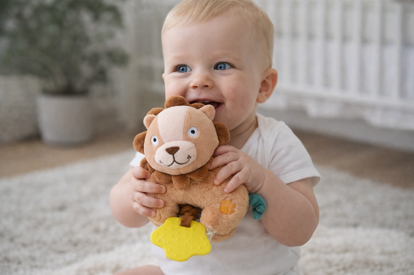 Snuggle Buddy Hugsworth Lion Pack – Pack of 4