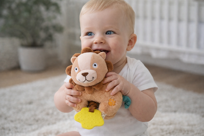 Snuggle Buddy Hugsworth Lion Pack – Pack of 4
