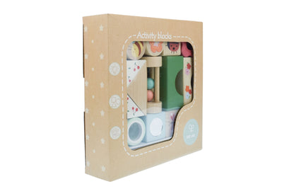 Wooden Spring Insect Activity Blocks