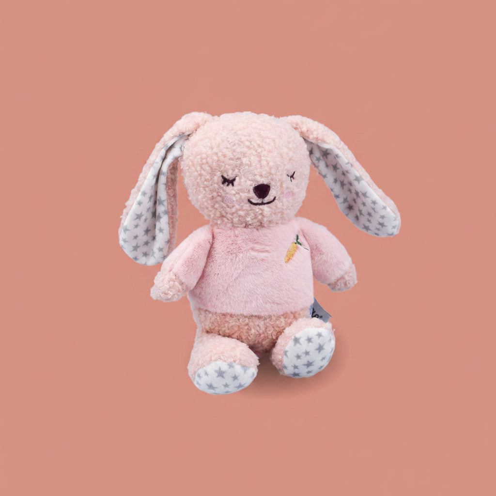 Snuggle Buddy Berry Bunny – Pack of 4