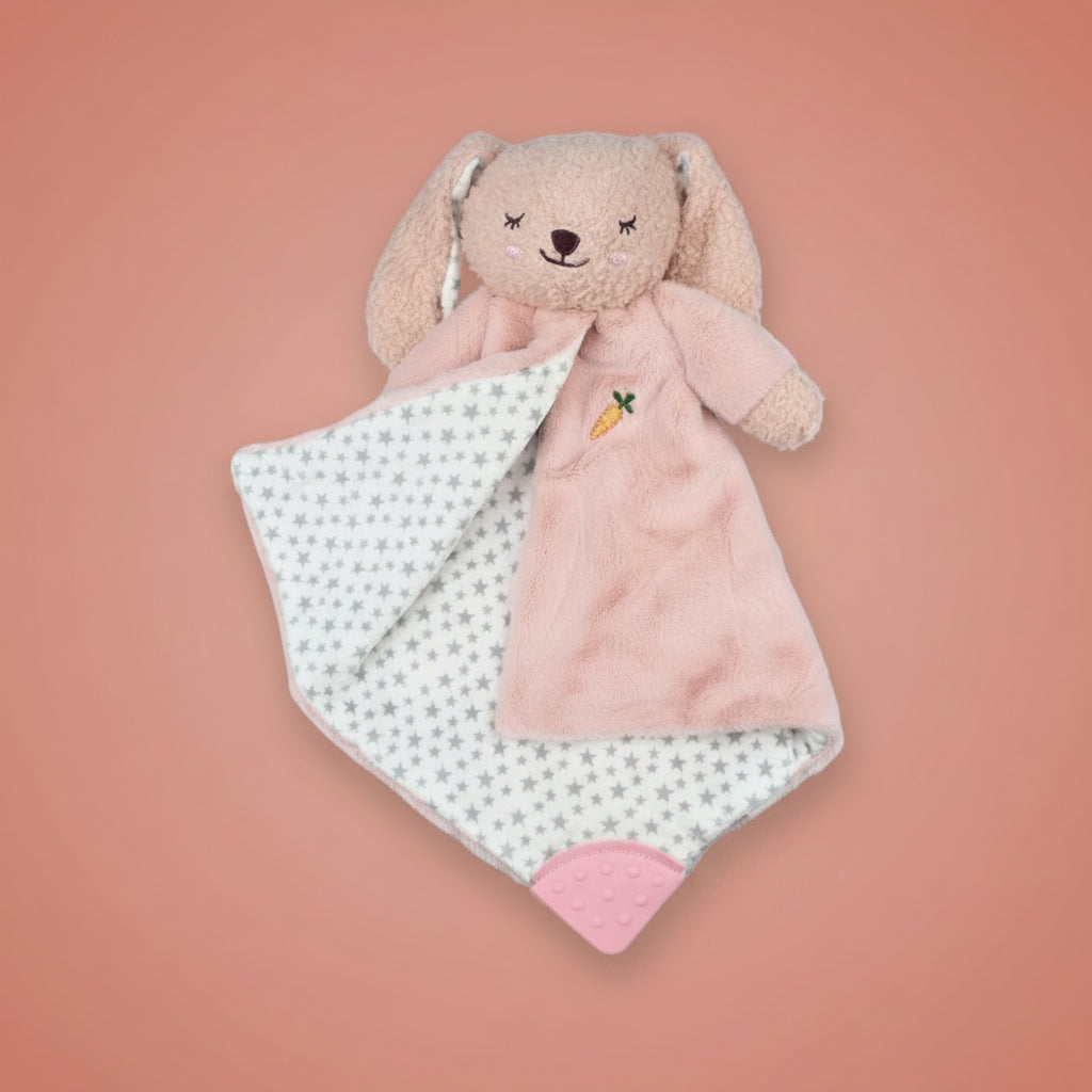 Snuggle Buddy Berry Bunny – Pack of 4